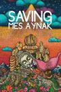 Saving Mes Aynak
