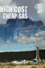 The High Cost of Cheap Gas