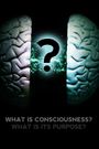 What Is Consciousness? What Is Its Purpose?