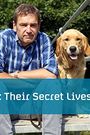 Dogs: Their Secret Lives