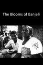 The Blooms of Banjeli