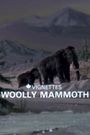 Canada Vignettes: Woolly Mammoth