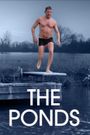 The Ponds
