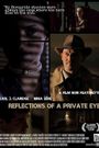 Reflections of a Private Eye