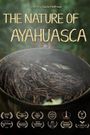 The Nature of Ayahuasca