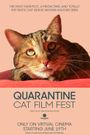 Quarantine Cat Film Fest