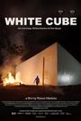 The White Cube