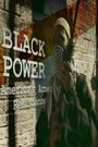 Black Power: America's Armed Resistance