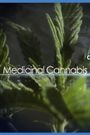 Medicinal Cannabis and its Impact on Human Health
