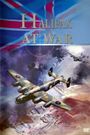Halifax at War: The Story of a Bomber
