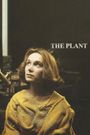 The Plant