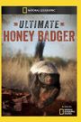 Ultimate Honey Badger