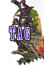 Tag