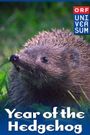 Year of the Hedgehog
