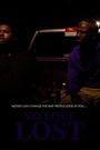 No Lost Love