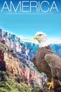 America - The Beautiful Country