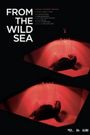From the Wild Sea