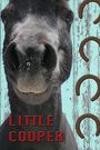 Little Cooper