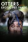 Otters and the Exotic Pet Trade