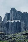 Adaptive
