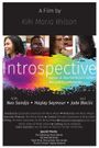 Introspective-Labels And Discrimination Within The Lgbtq Community