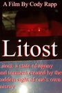 Litost