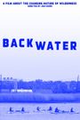 Back Water