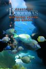 Adventure Bahamas 3D - Mysterious Caves and Wrecks