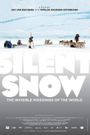 Silent Snow