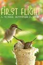 First Flight: A Mother Hummingbird's Story