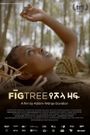 Fig Tree