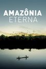 Eternal Amazon
