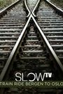 Slow Tv: Train Ride Bergen to Oslo