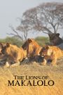 The Lions of Makalolo