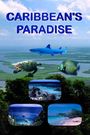 Caribbean's Paradise