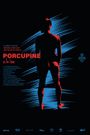 Porcupine (Nhím)