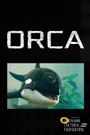 Orca
