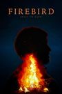 Firebird: Built to Burn