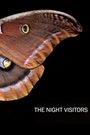 The Night Visitors