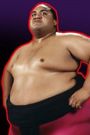 Biography: WWE Legends