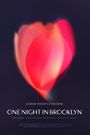 One Night in Brooklyn