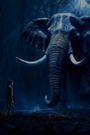 Ghost Elephants