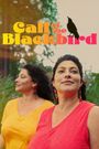 Call of the Blackbird