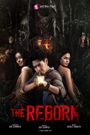 The Reborn
