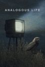 Analogous Life