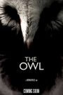 The Owl