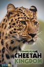 Cheetah Kingdom