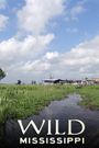 Wild Mississippi