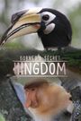 Borneo's Secret Kingdom