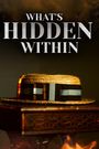 What's Hidden Within